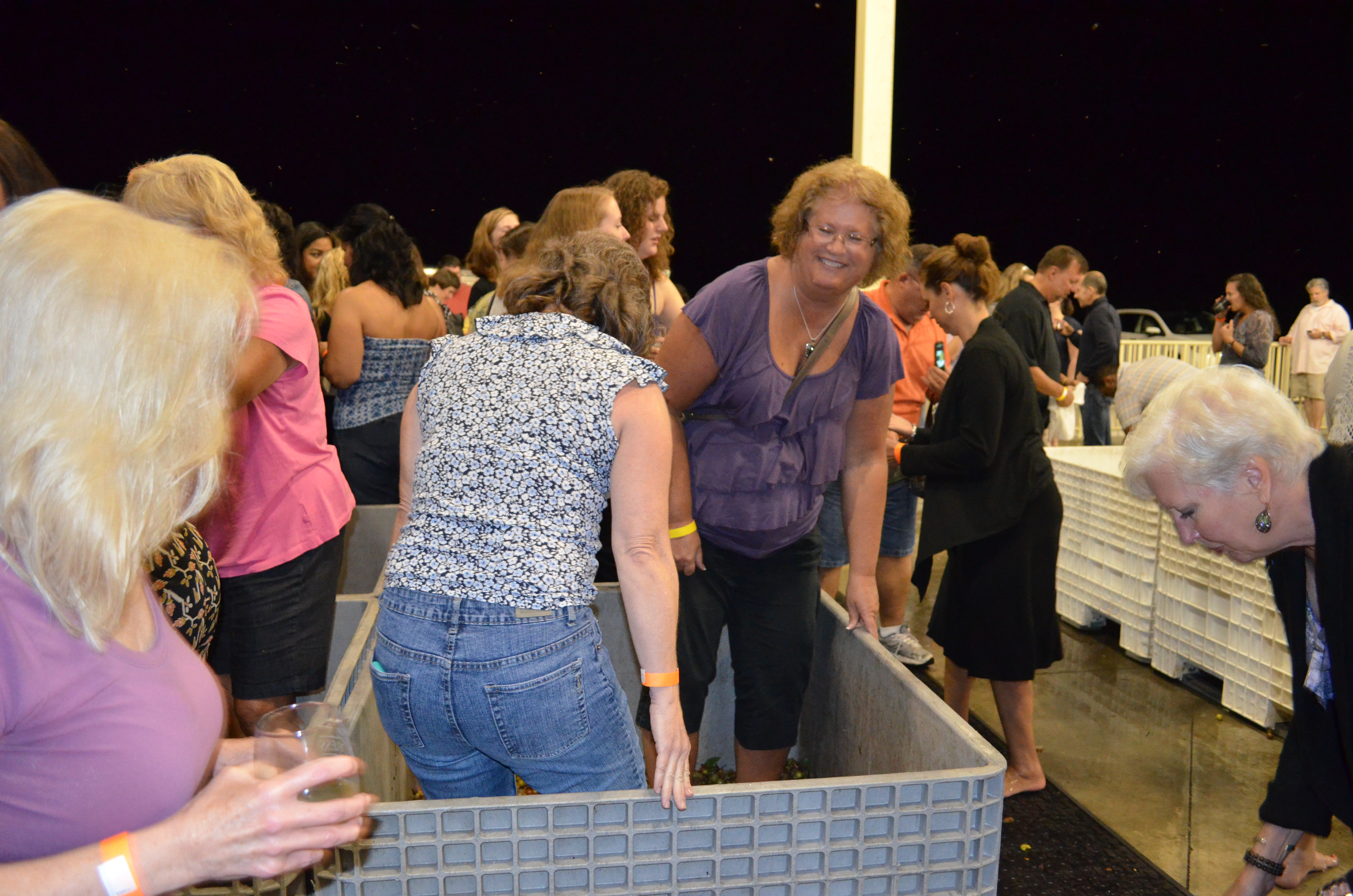 ./2012/Grape Stomp/DSC_0240.JPG